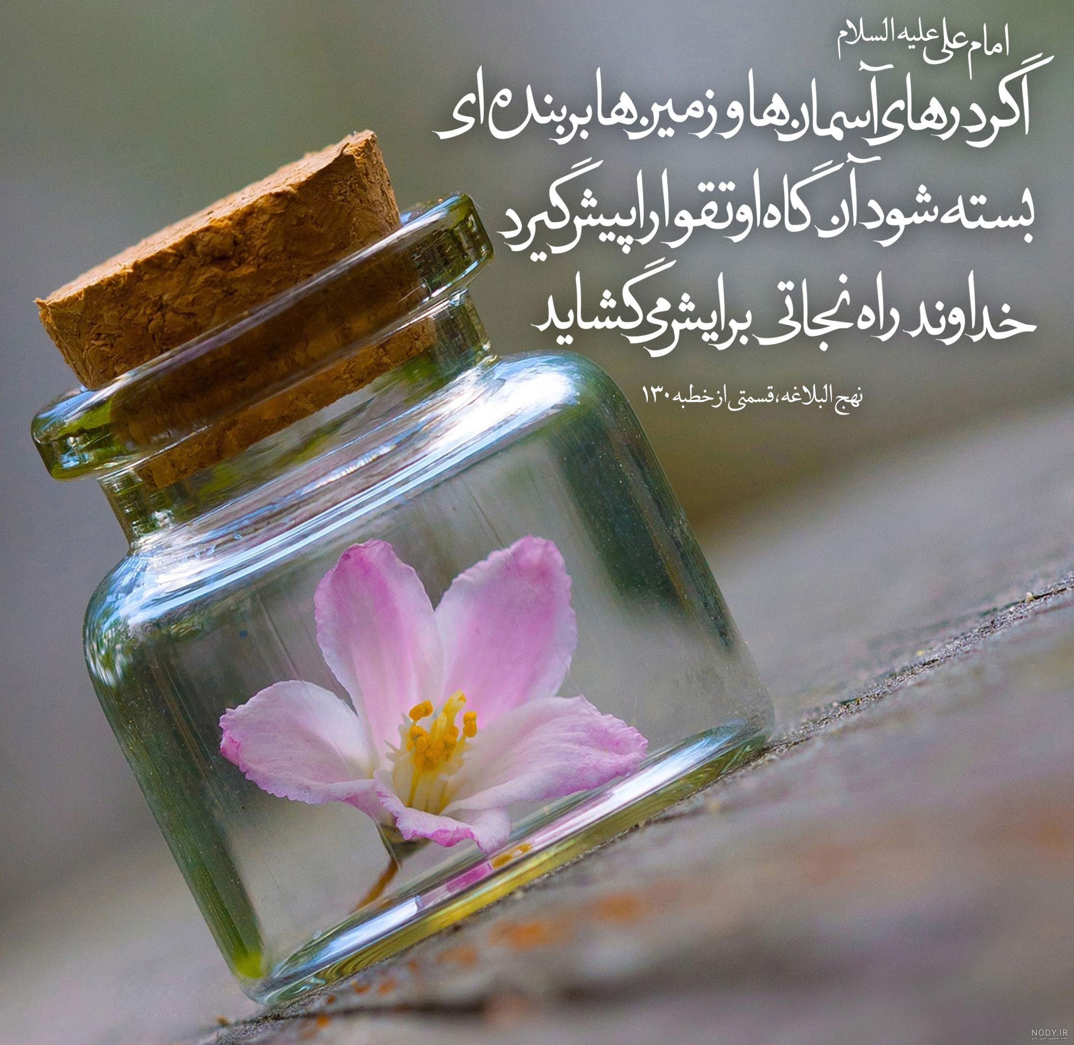 حکمت نهج البلاغه